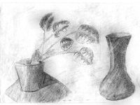 grafica (6)